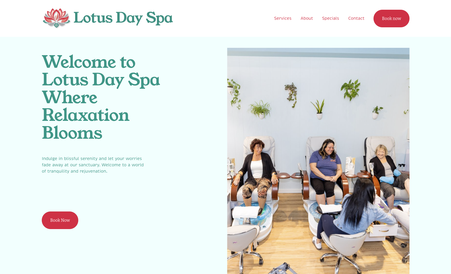 Lotus Day Spa: A Brand New Look and Website