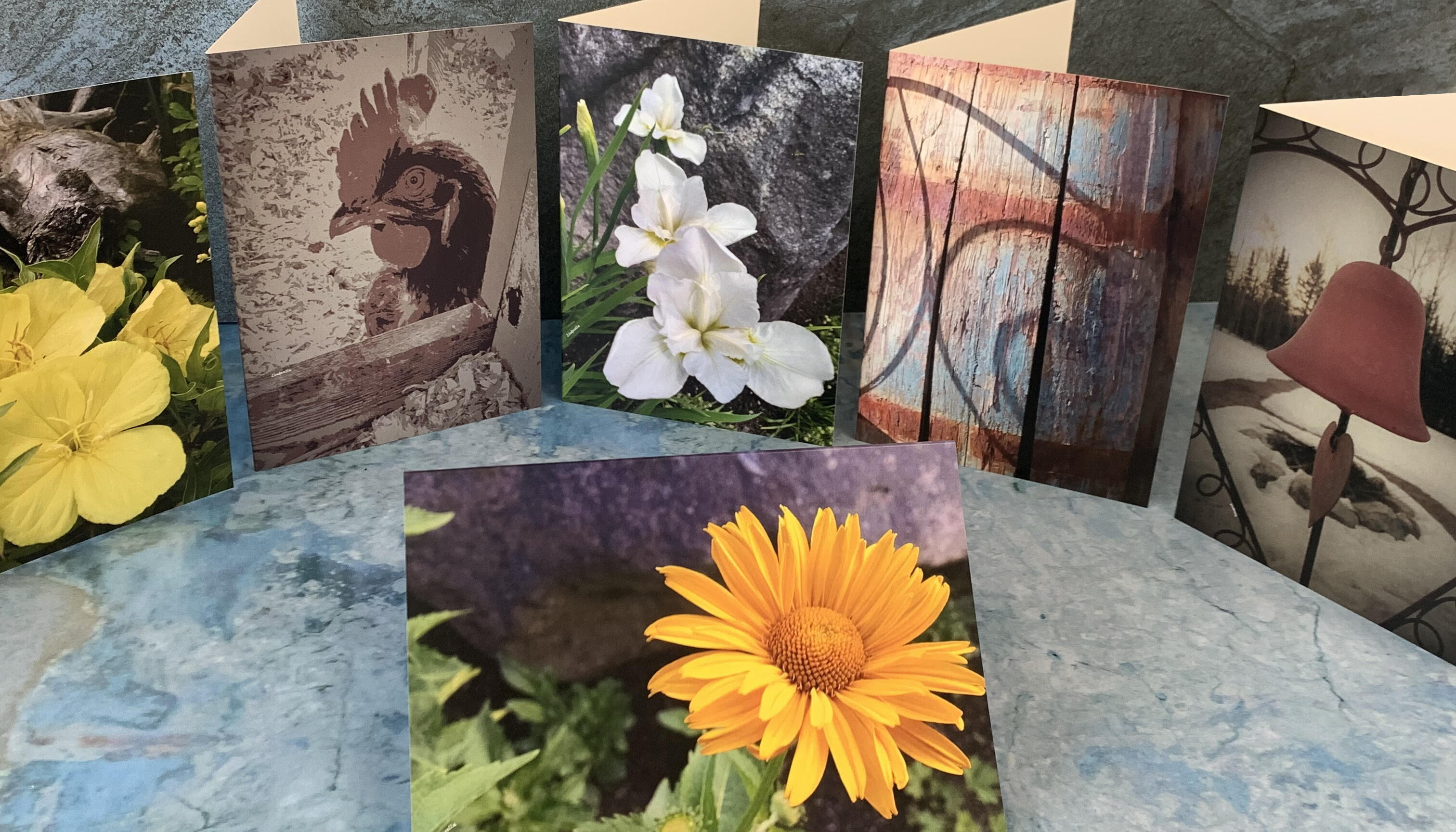 Custom Notecards and Greeting Cards