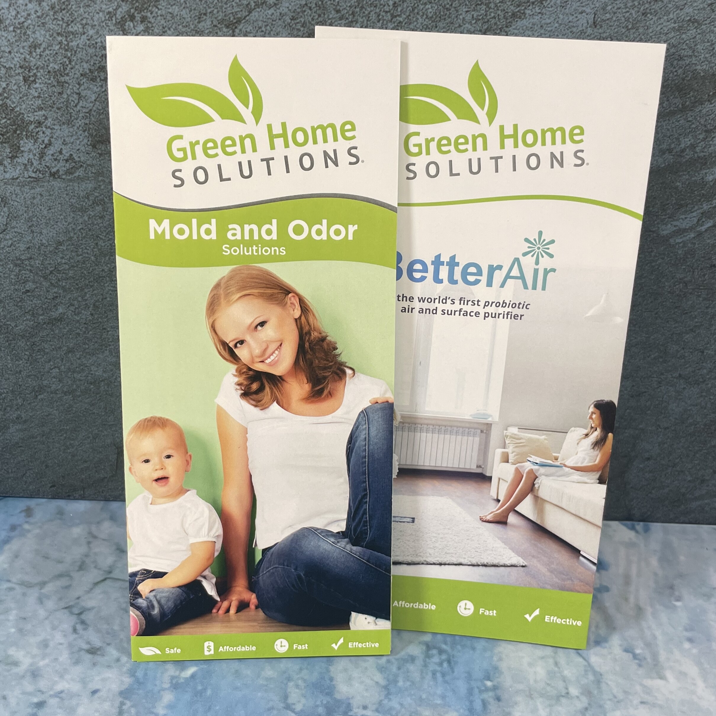 Printed Tri-fold Brochures for Green Home Solutions