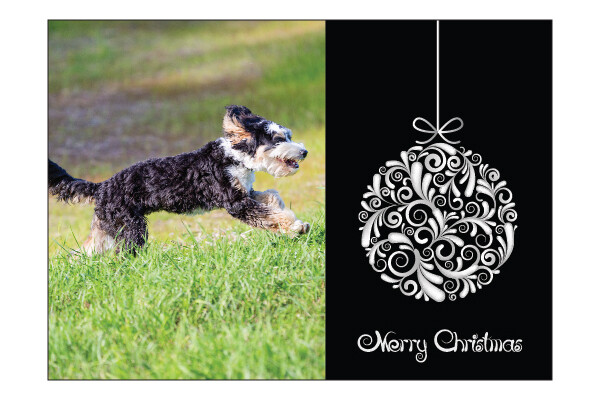 CW Holiday Photo Card - Template #013