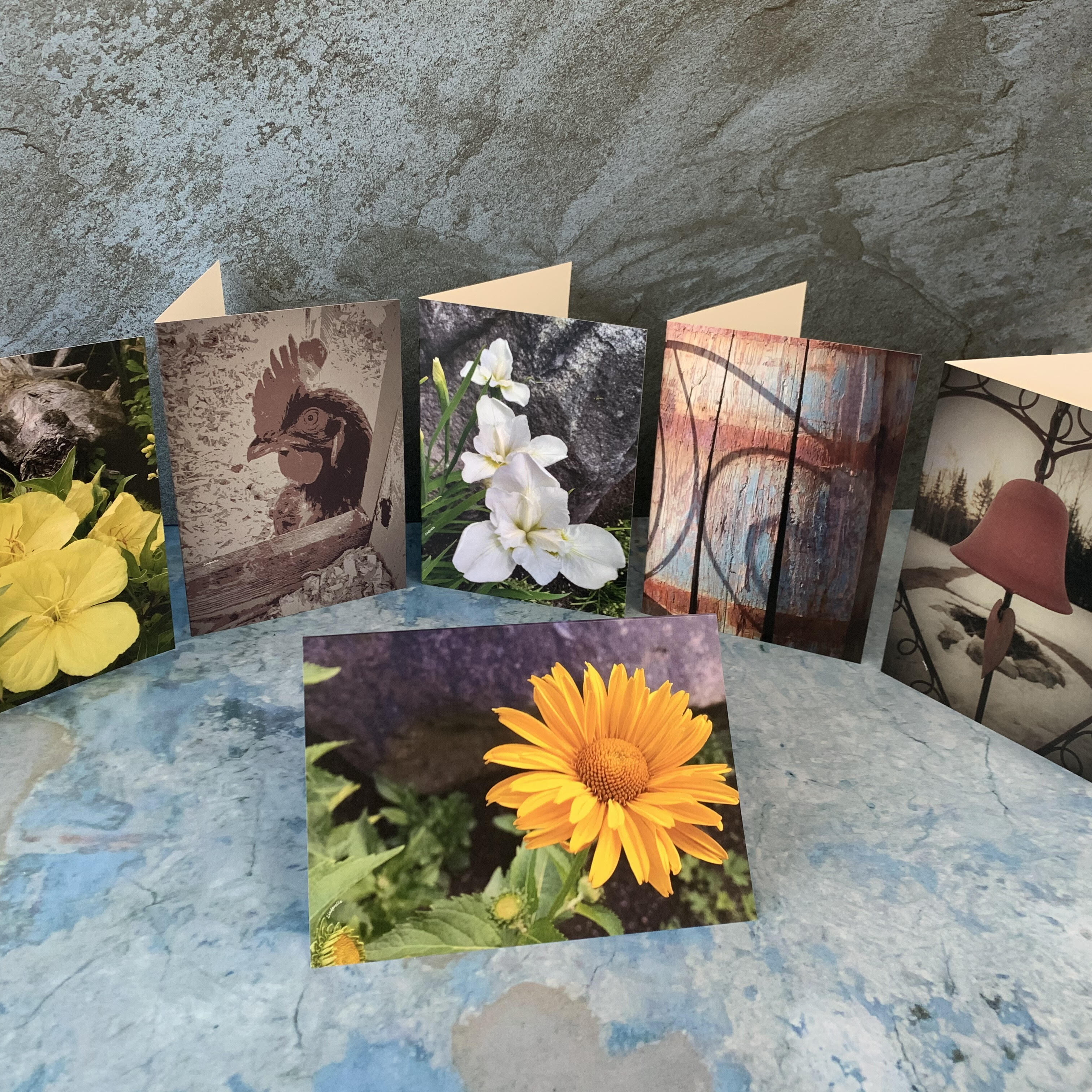 Notecards by Linda Conway